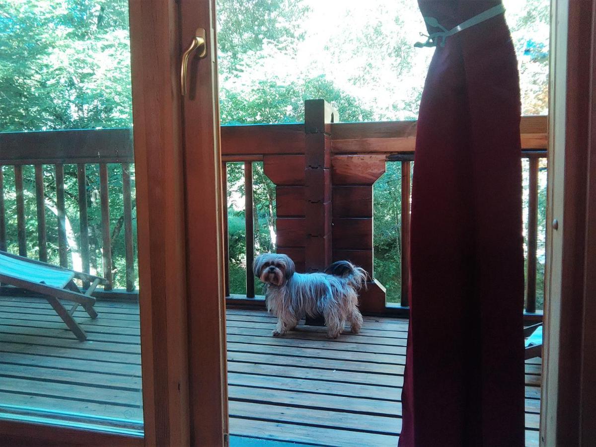Chalet Bois Au Milieu Des Pyrenees LʼHospitalet-près-lʼAndorre Exteriér fotografie