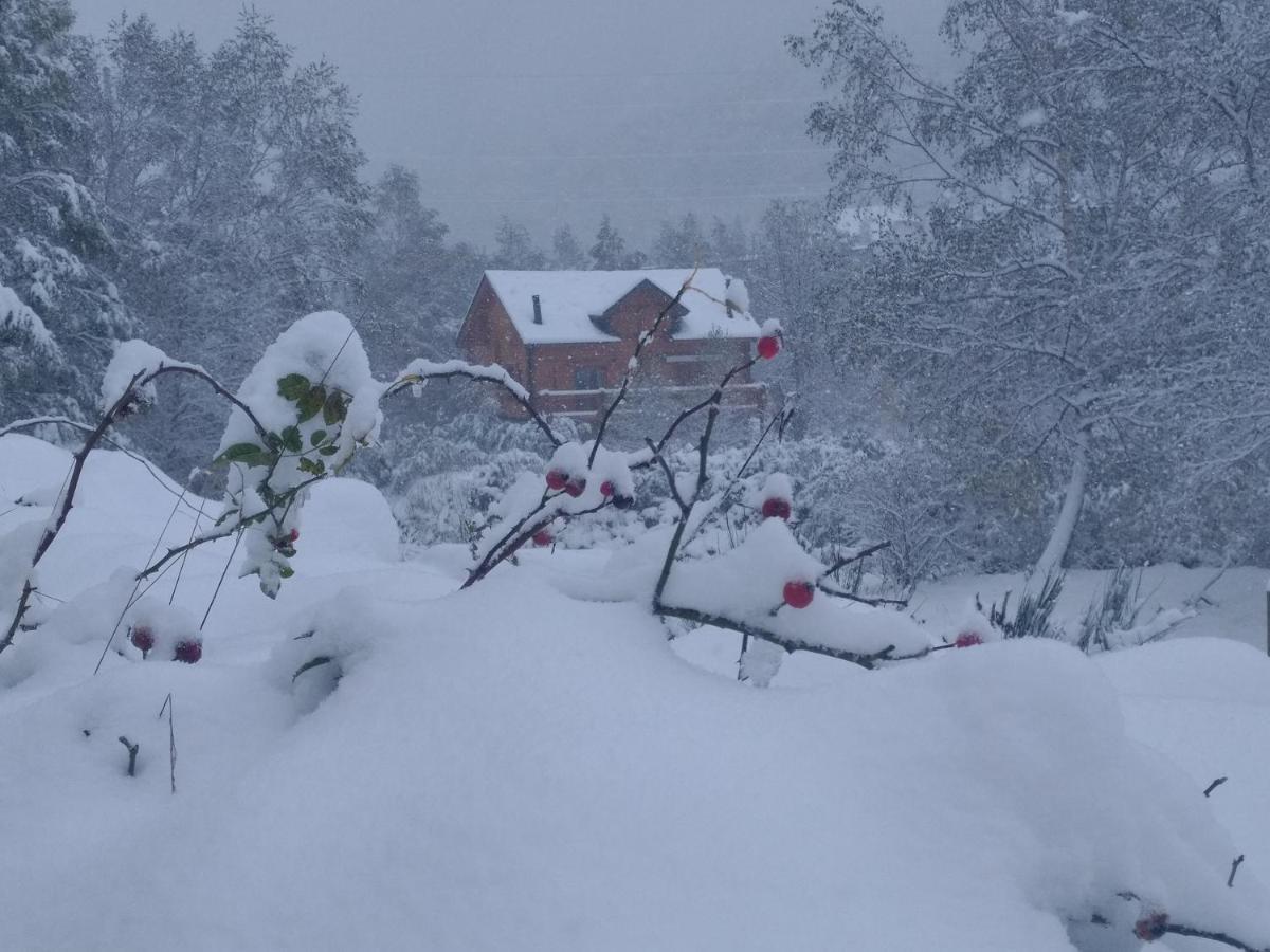 Chalet Bois Au Milieu Des Pyrenees LʼHospitalet-près-lʼAndorre Exteriér fotografie